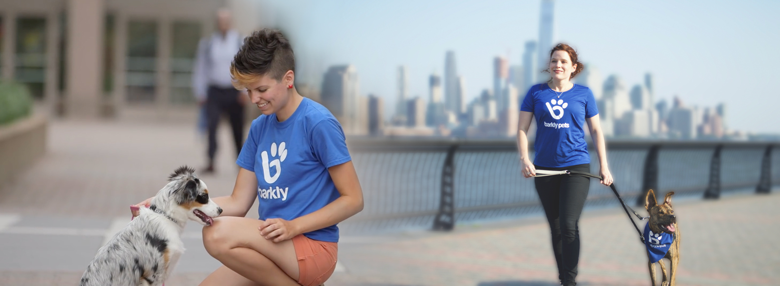 Dog Walking Volunteer Jobs Dog Walking Volunteer Jobs