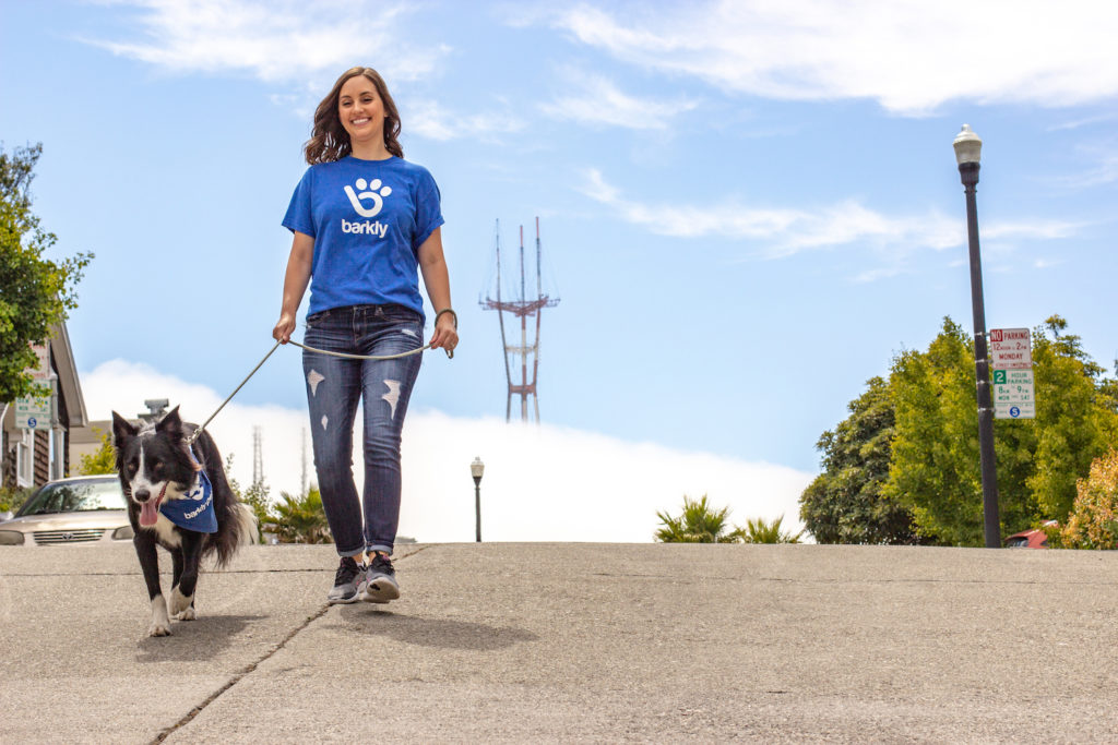 A Barkly Pets dog walker walking a border collie in San Francisco.