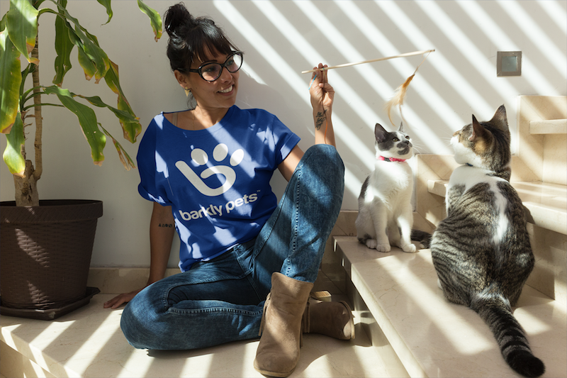 Barkly's feline fundamentals course teaches dog walkers to "speak cat."