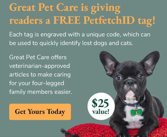 Advertisement: Great Pet Care is giving readers a FREE Petfetch ID tag (a $25 value)! Get Yours today at https://www.greatpetcare.com/petfetch/